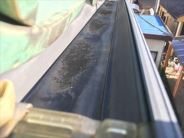 雨樋の中を確認